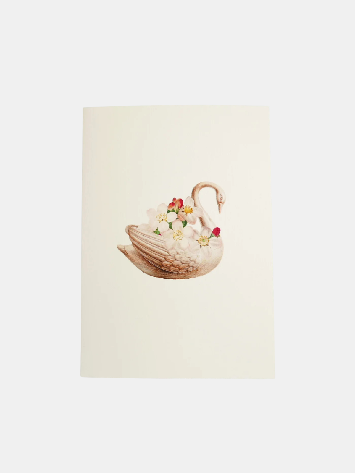 Swan & Blossoms