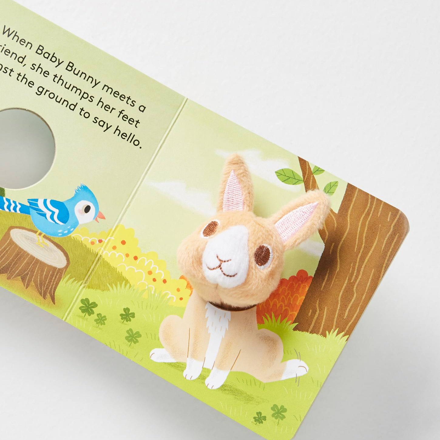 Children's book with a plush toy of a bunny on a white background