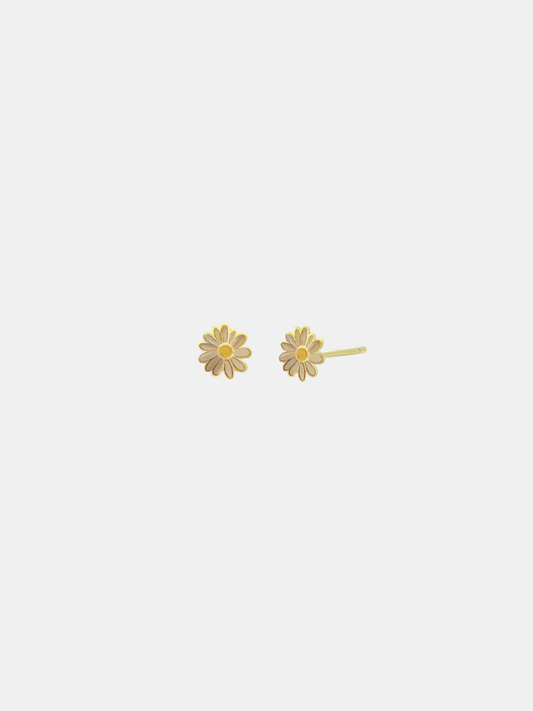 Chamomile Studs