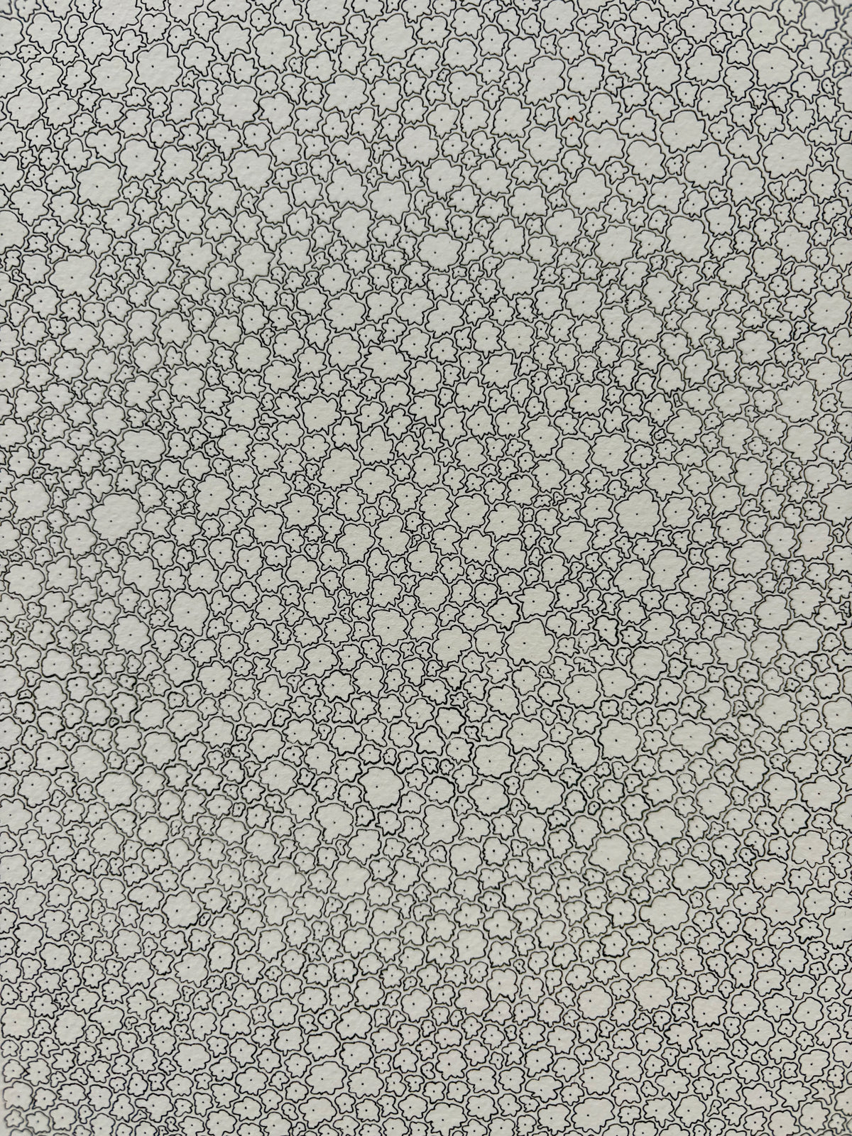 Thousands of Flowers