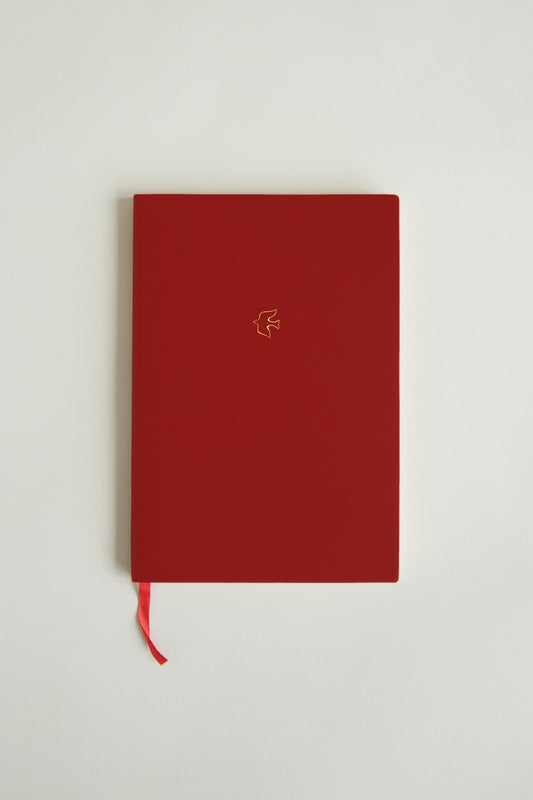 Illustrated Notebook