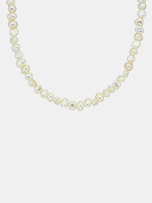 Pearl necklace on a white background