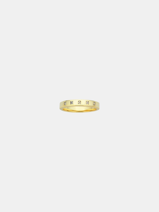 Check Ring Fine