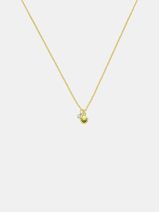 She Shell Necklace