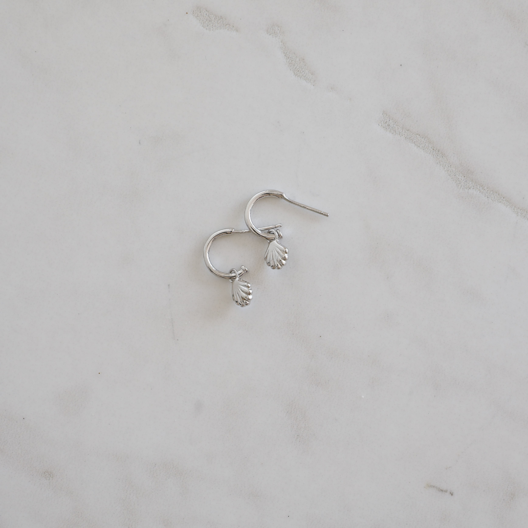 She Shell Hoop Studs