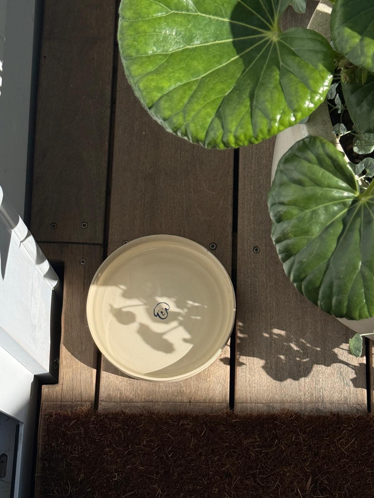 Agathe Pet Bowl