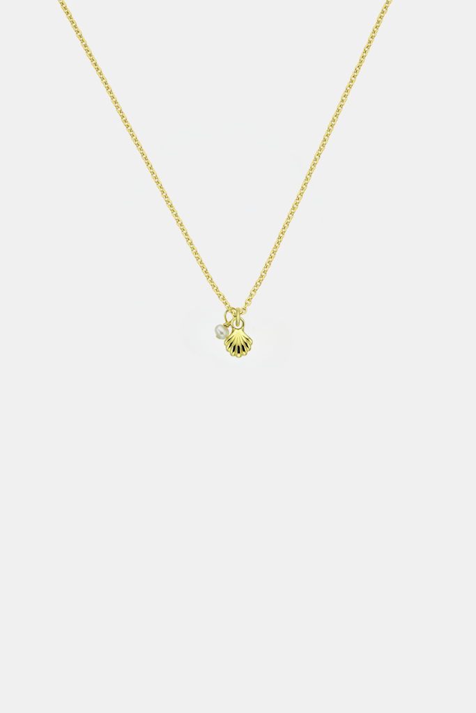 She Shell Necklace