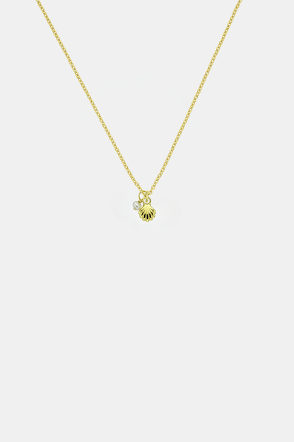 She Shell Necklace