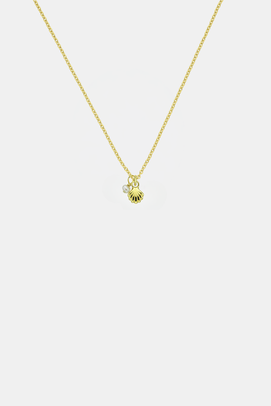 She Shell Necklace