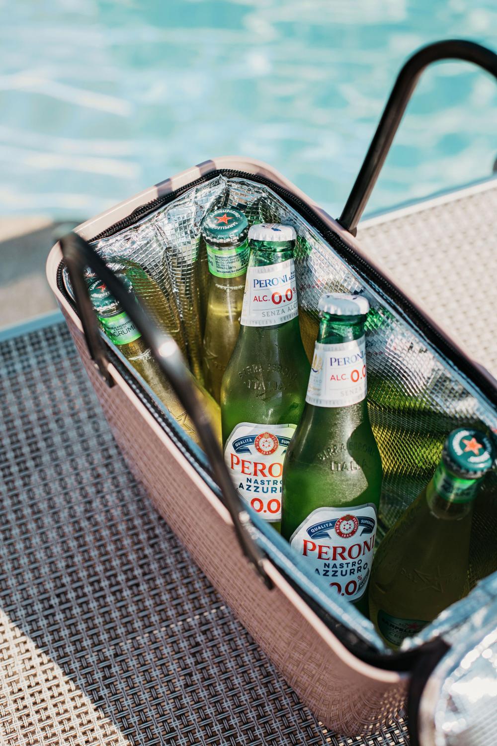 Hinza Bag Cooler Insert