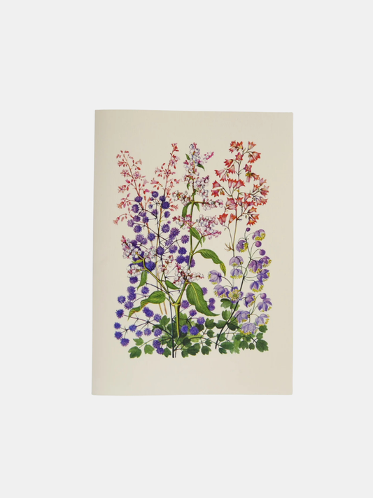 Bluebells