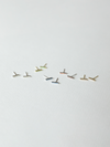 Small birthstone earrings laid out on a white background