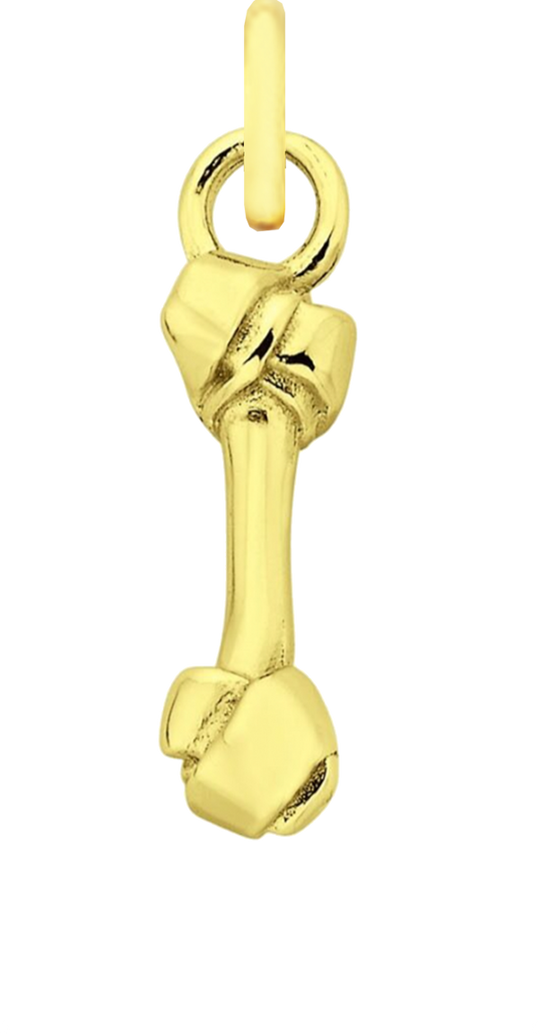 Charm Single Pendant - Gold / Pets - Bone