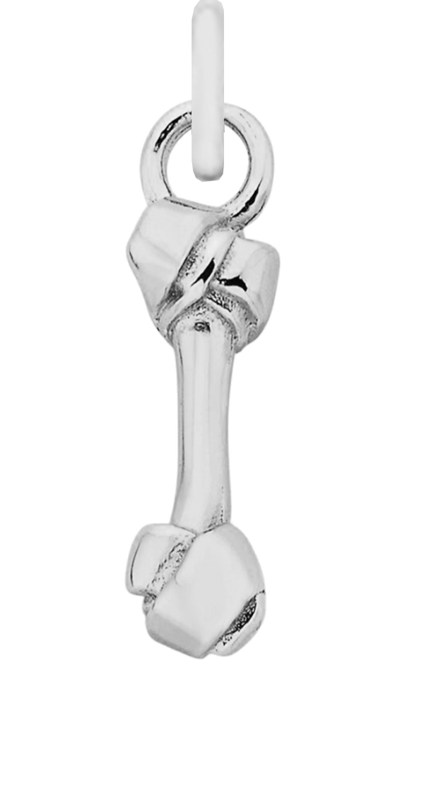 Charm Single Pendant - Silver / Pets - Bone