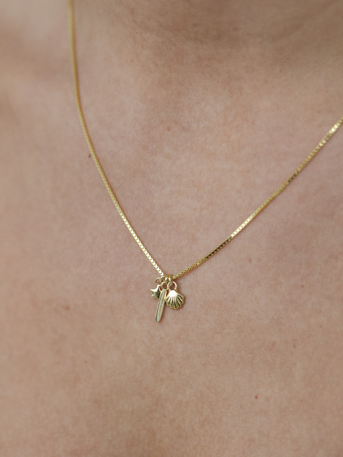 Charm Necklace - Gold Plated