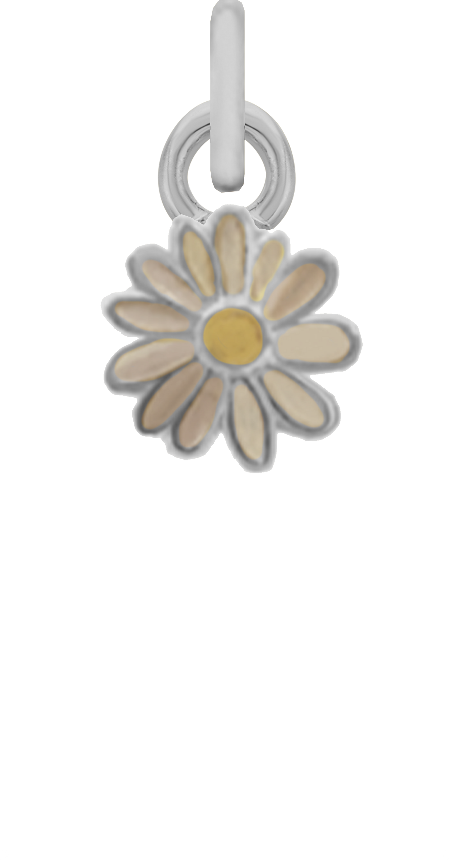 Charm Single Pendant - Silver / Icons
