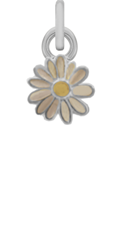 Charm Single Pendant - Silver / Icons