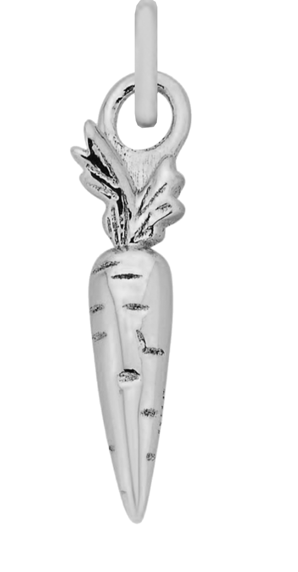Charm Single Pendant - Silver / Pets - Carrot