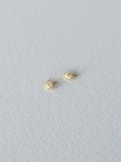 Chamomile Studs
