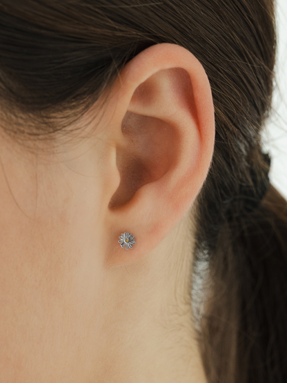 Chamomile Studs
