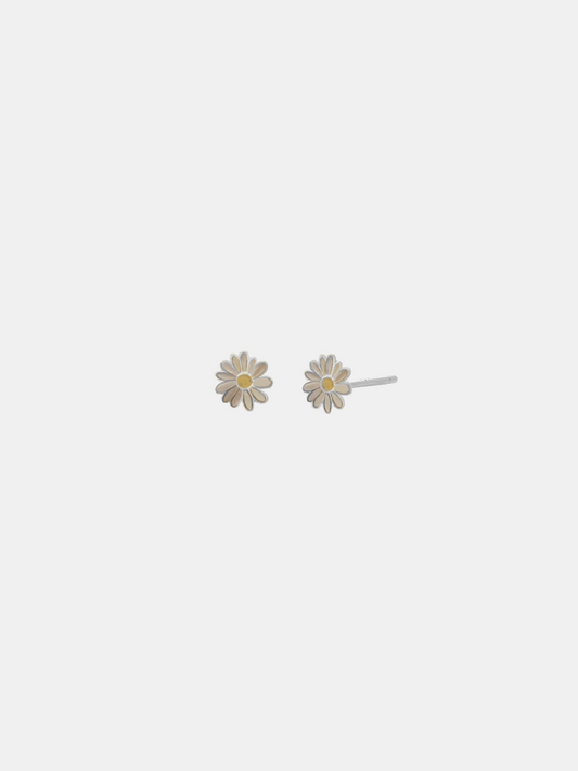 Chamomile Studs