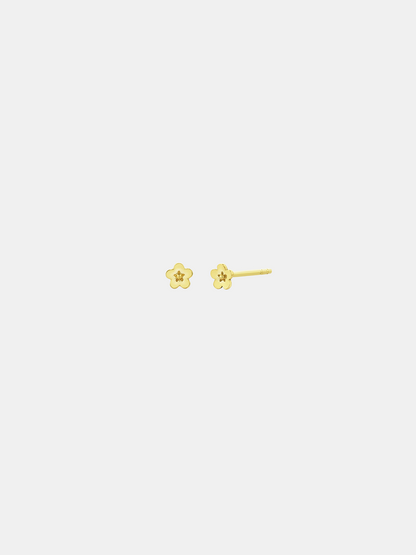 Daisy Day Micro Studs