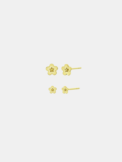 Daisy Day Set