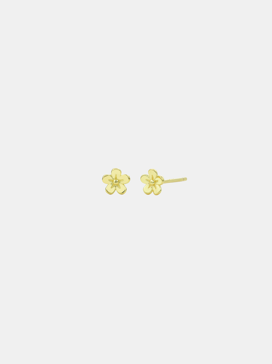Daisy Day Studs