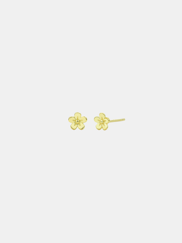 Daisy Day Studs