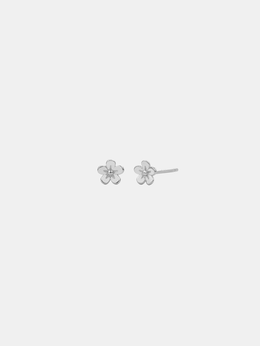 Daisy Day Studs