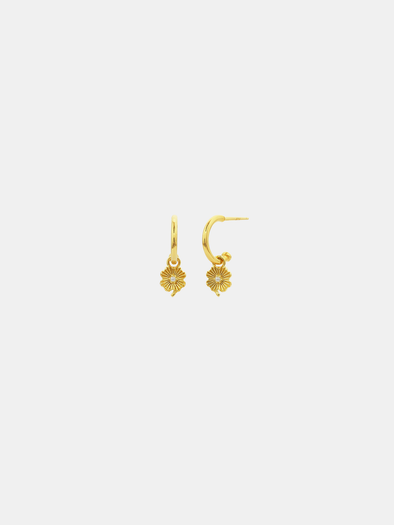 Love Lily Hoop Studs