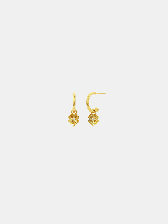 Love Lily Hoop Studs