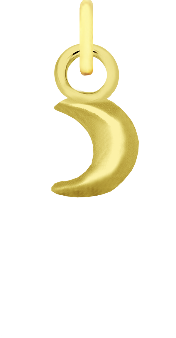 Charm Single Pendant - Gold / Icons - Luna Lover