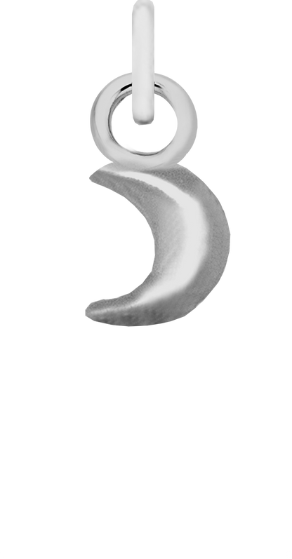 Charm Single Pendant - Silver / Icons