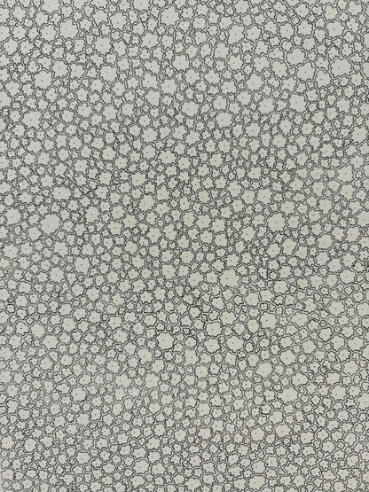 Thousands of Flowers