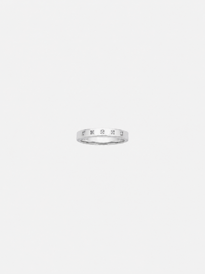 Check Ring Fine