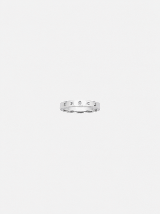 Check Ring Fine