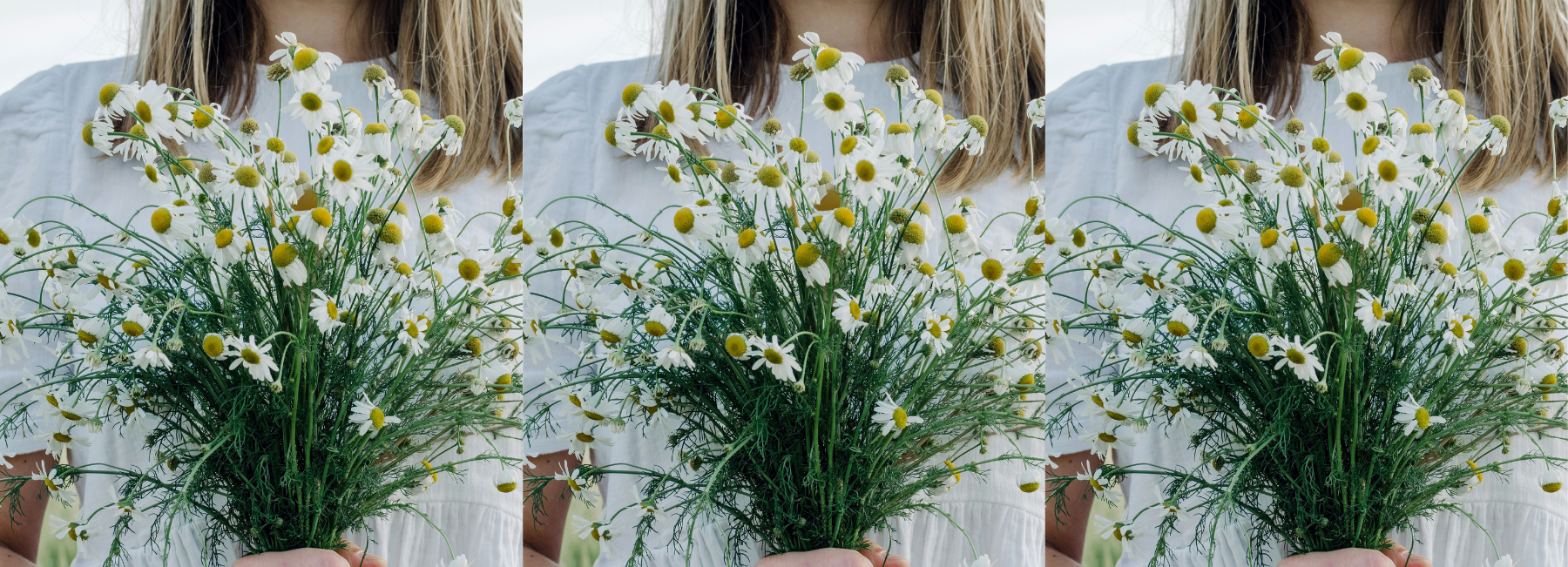 Three identical images of a person holding a bouquet of flowers against a white background