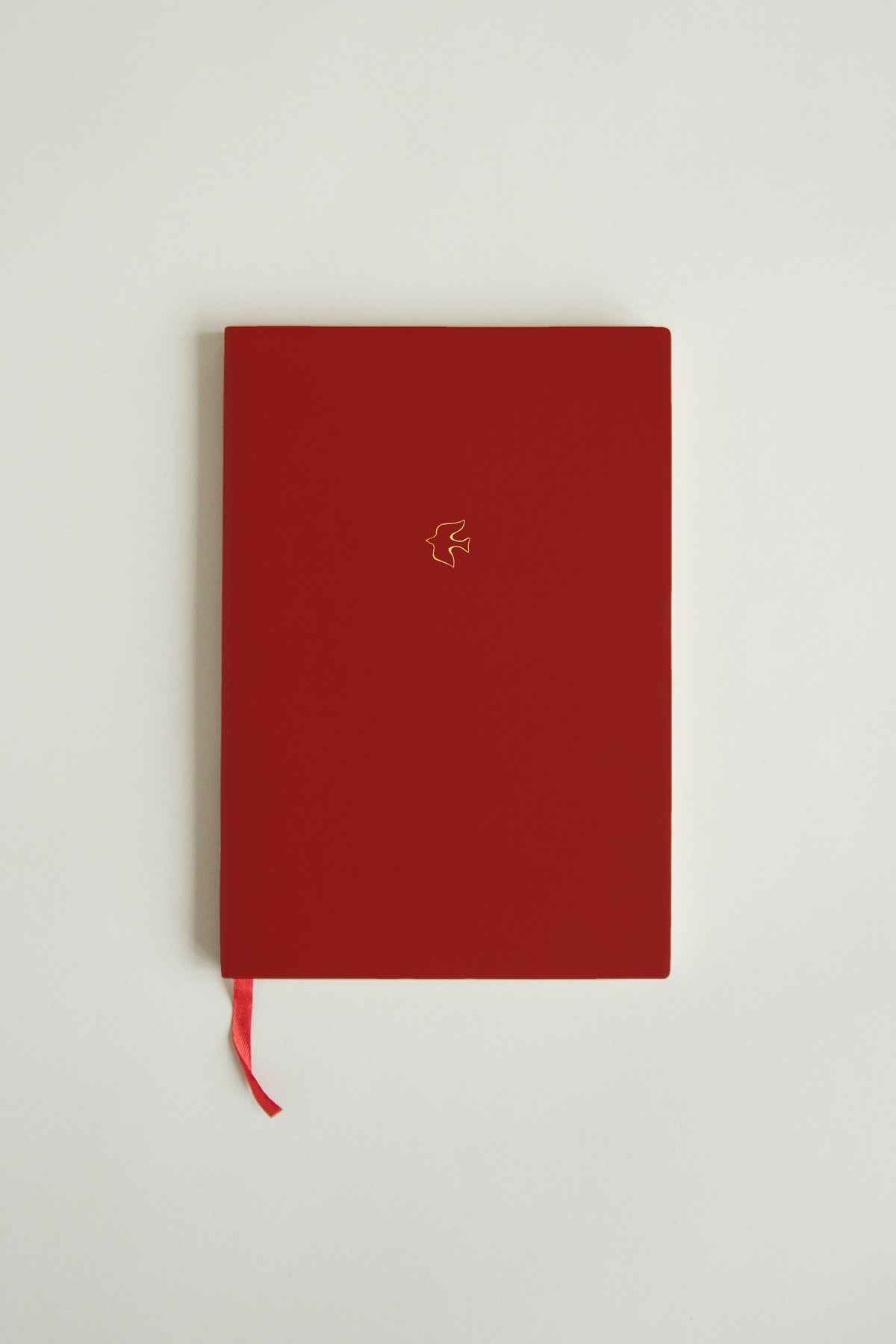 Illustrated Notebook