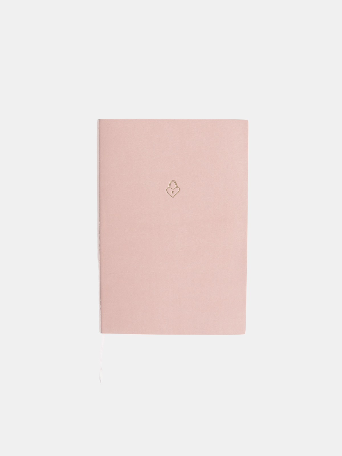 Illustrated Notebook