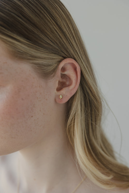 Dove Studs