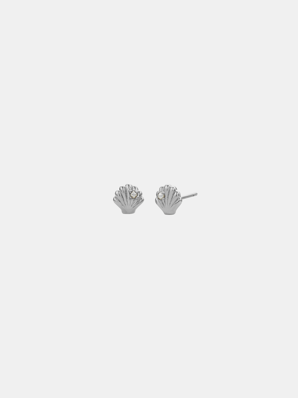 She Shell Studs