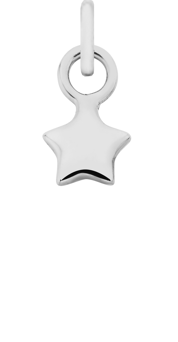 Charm Single Pendant - Silver / Icons - Twinkle