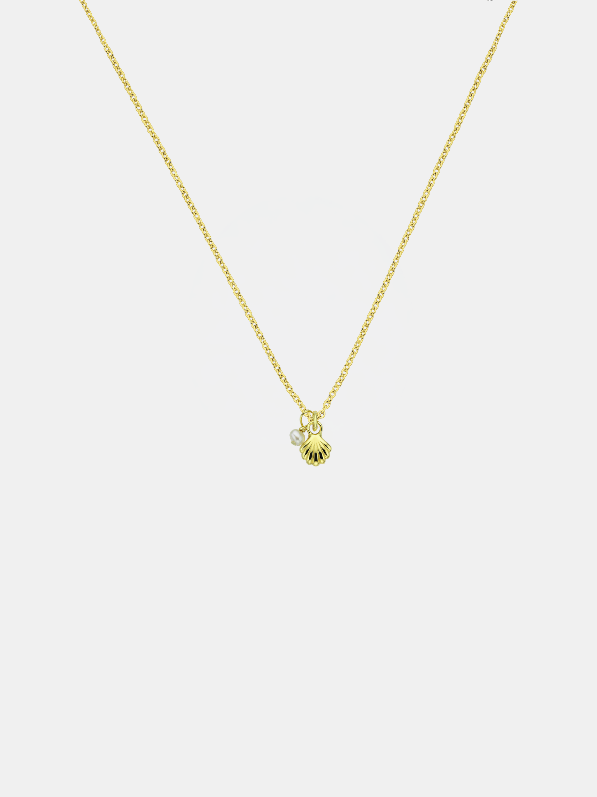 She Shell Necklace