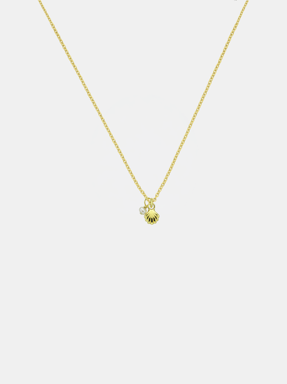 She Shell Necklace