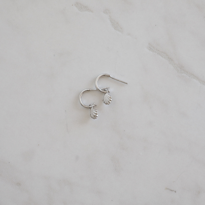 She Shell Hoop Studs
