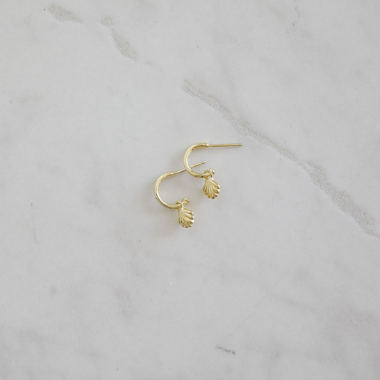 She Shell Hoop Studs