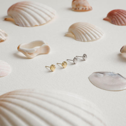 She Shell Studs
