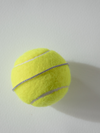 Yellow tennis ball on a white background