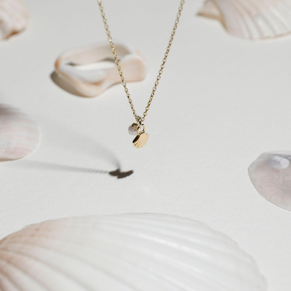 She Shell Necklace – SOPHIE